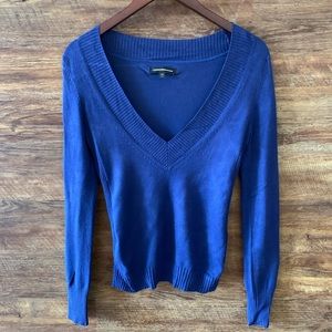 Express Blue V-Neck Sweater